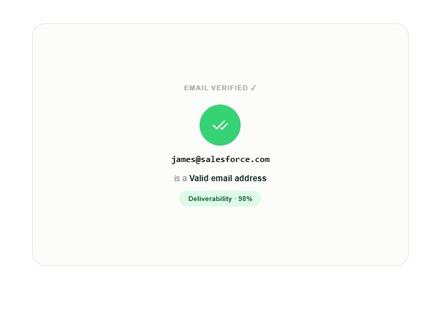 Accurate Email Validation Tool result